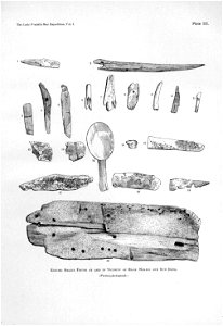 Ipy-conger1 plate-IIIb