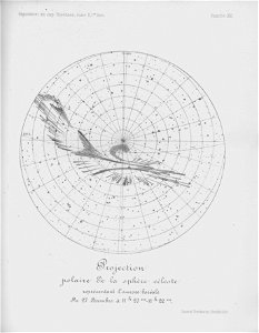 Ipy-thordsen2 plate-13