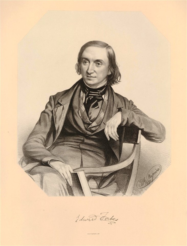 Ipswich Museum Portraits (BM 1852,0424.28)