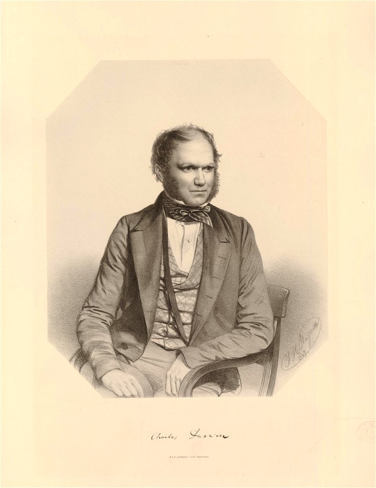 Ipswich Museum Portraits (BM 1882,0610.148)