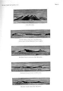 Ipy-conger1 plate-I