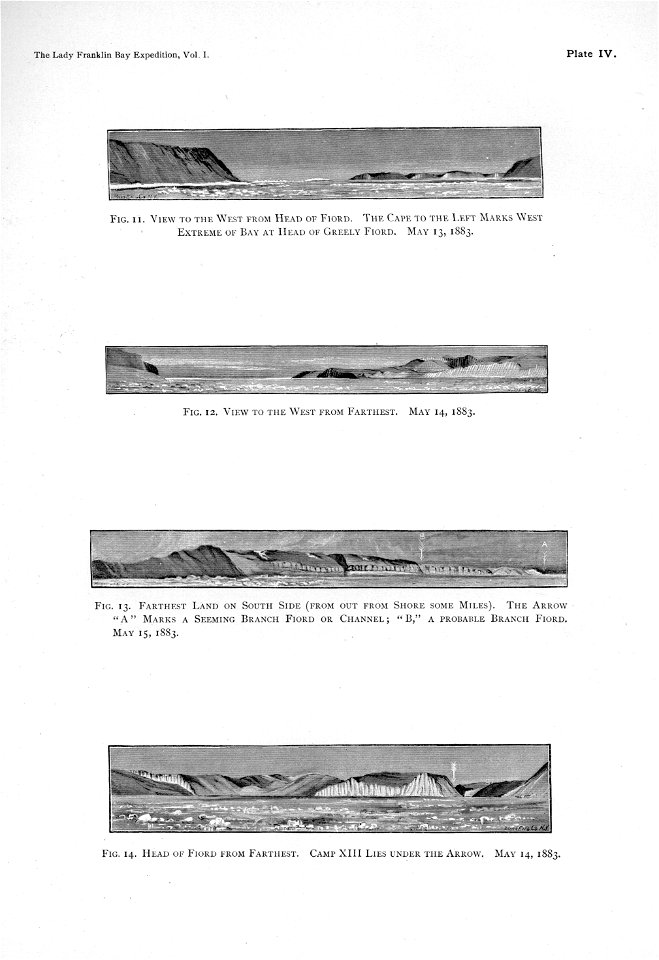 Ipy-conger1 plate-IV