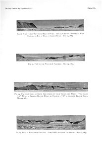 Ipy-conger1 plate-IV