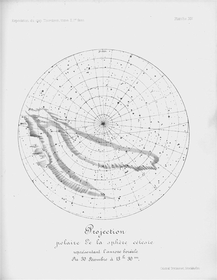 Ipy-thordsen2 plate-14