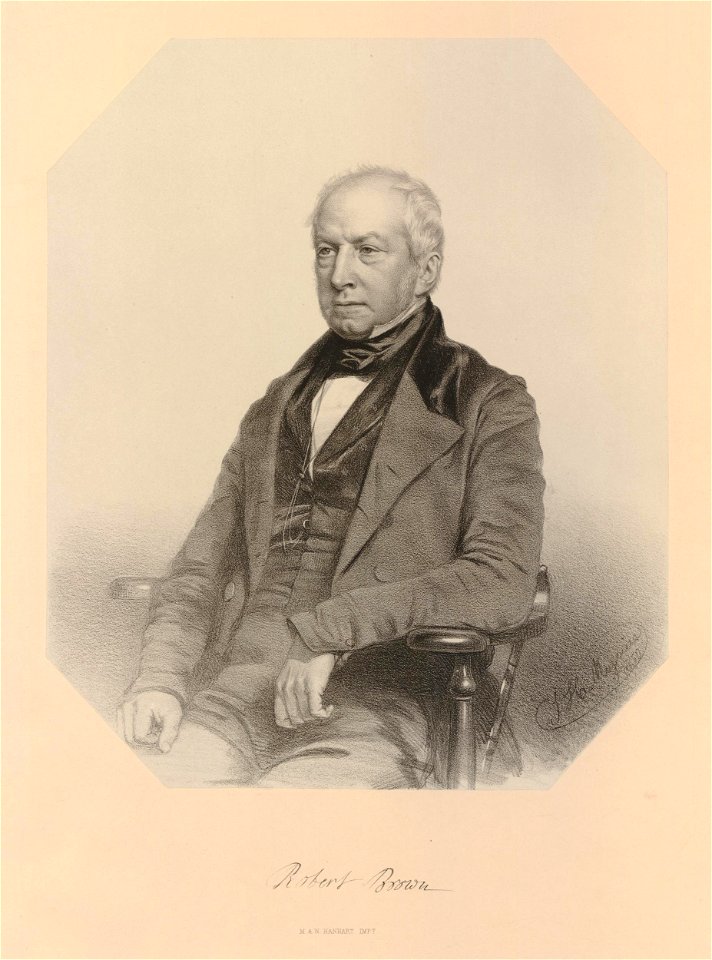 Ipswich Museum Portraits (BM 1852,0424.20)