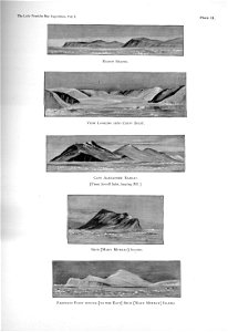 Ipy-conger1 plate-II