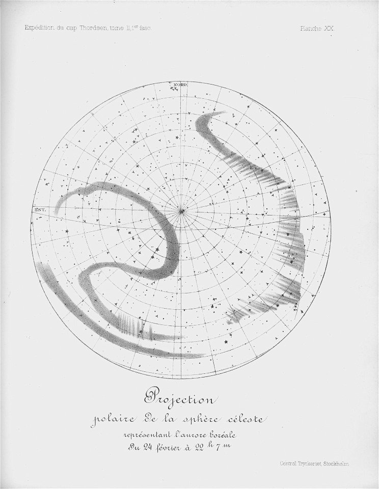 Ipy-thordsen2 plate-20