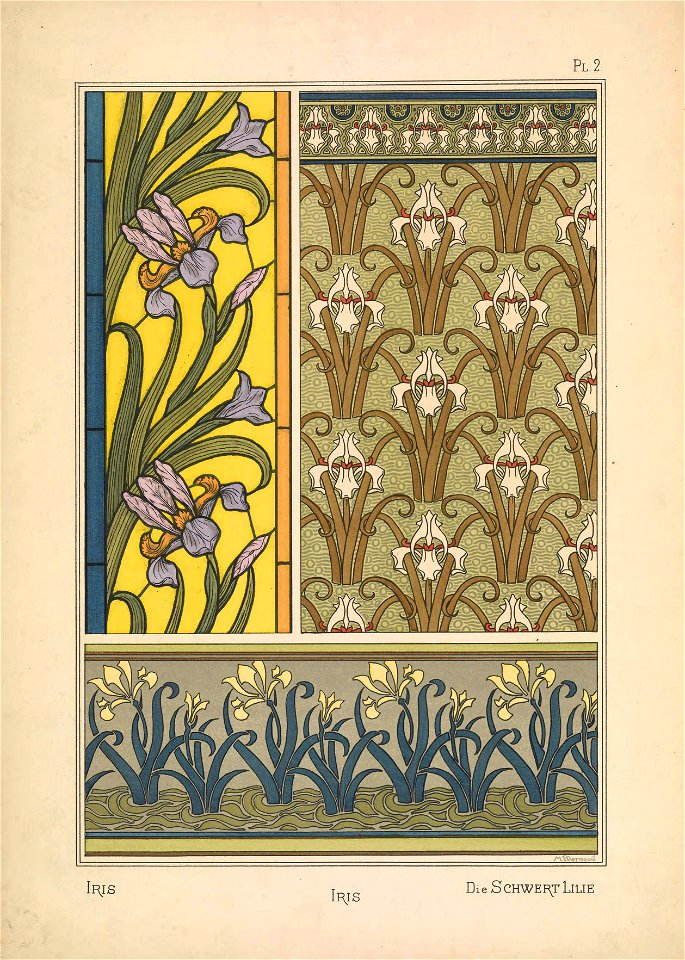 Iris Verneuil Pl 2