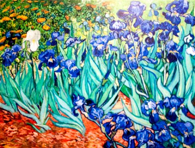 Irises (JH 1691) - My Dream