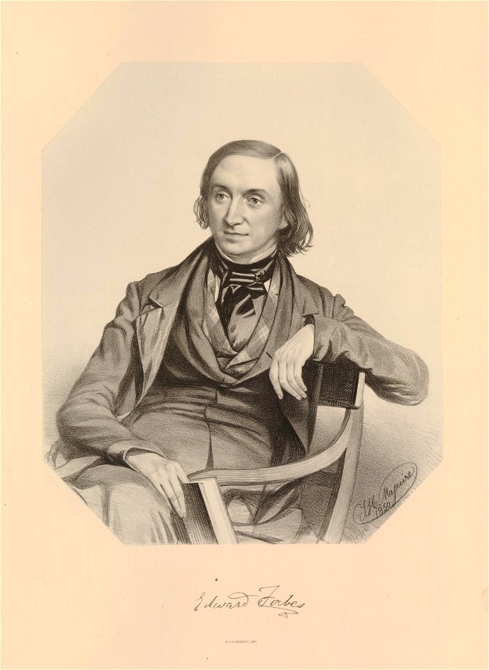 Ipswich Museum Portraits (BM 1882,0610.102)