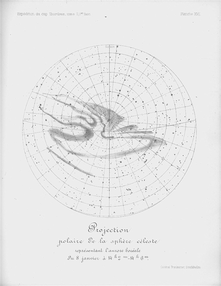 Ipy-thordsen2 plate-17