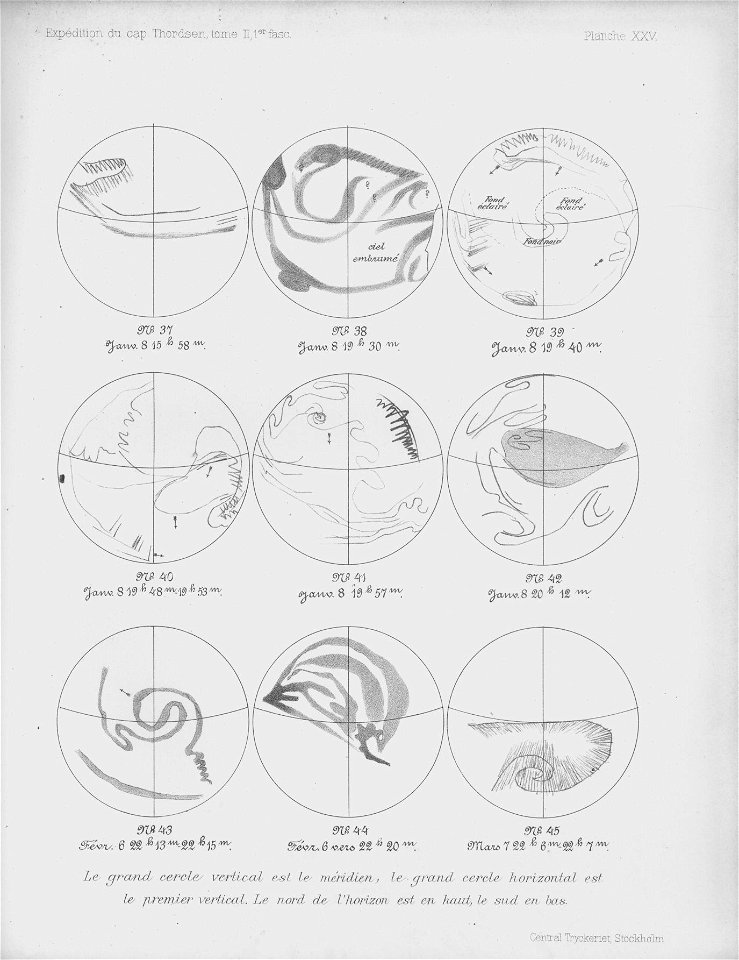 Ipy-thordsen2 plate-25
