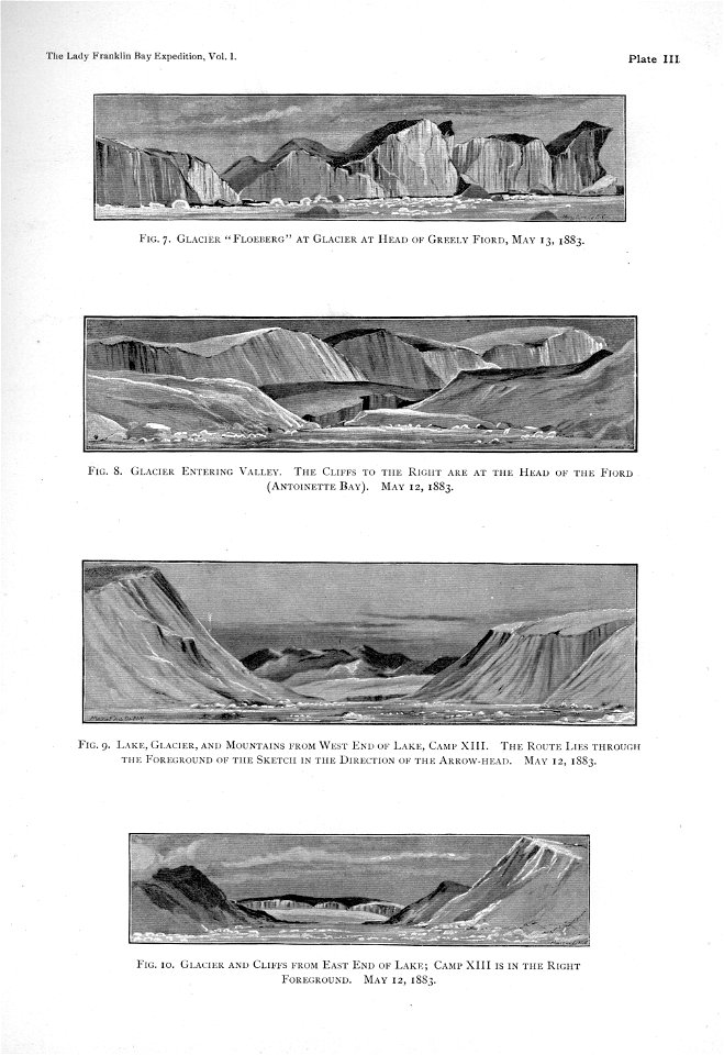 Ipy-conger1 plate-III