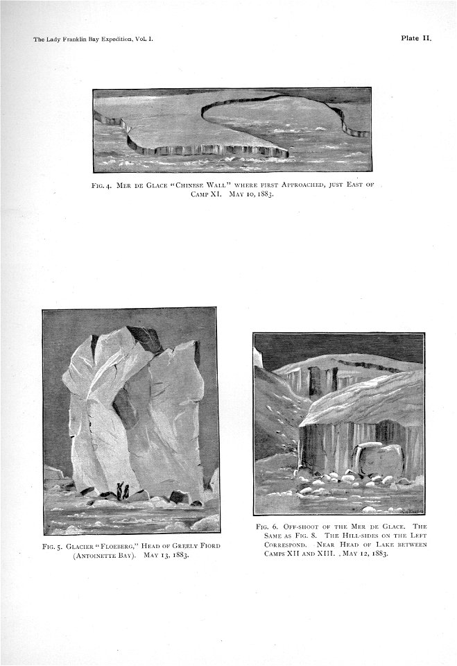 Ipy-conger1 plate-IIa