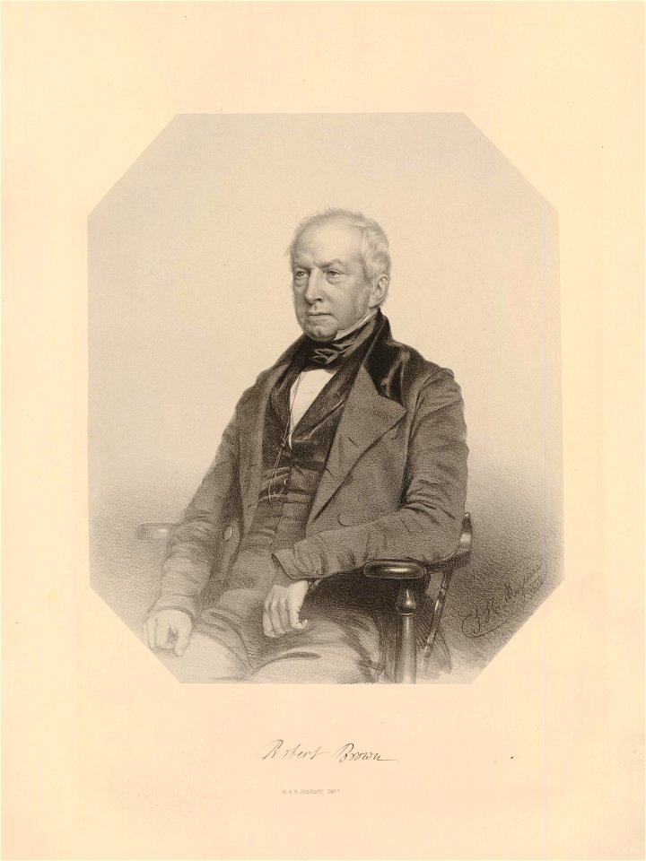 Ipswich Museum Portraits (BM 1882,0610.151)