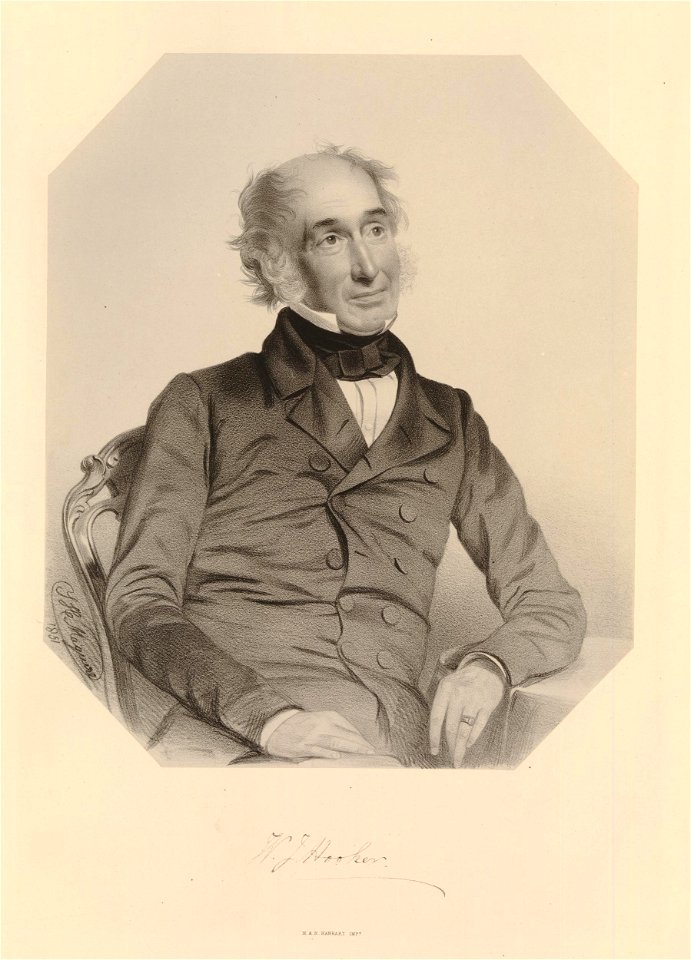 Ipswich Museum Portraits (BM 1882,0610.110)