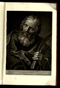 Ioannis Kupezky, incomparabilis artificis, Imagines et picturae - Valentin Daniel Preisler, Bernhard Vogel - 1745 - 13
