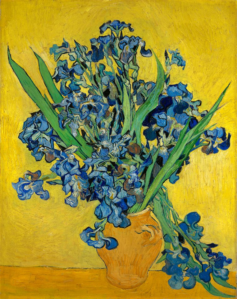 Irissen - s0050V1962 - Van Gogh Museum