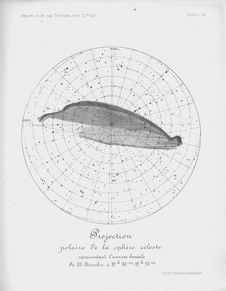 Ipy-thordsen2 plate-12