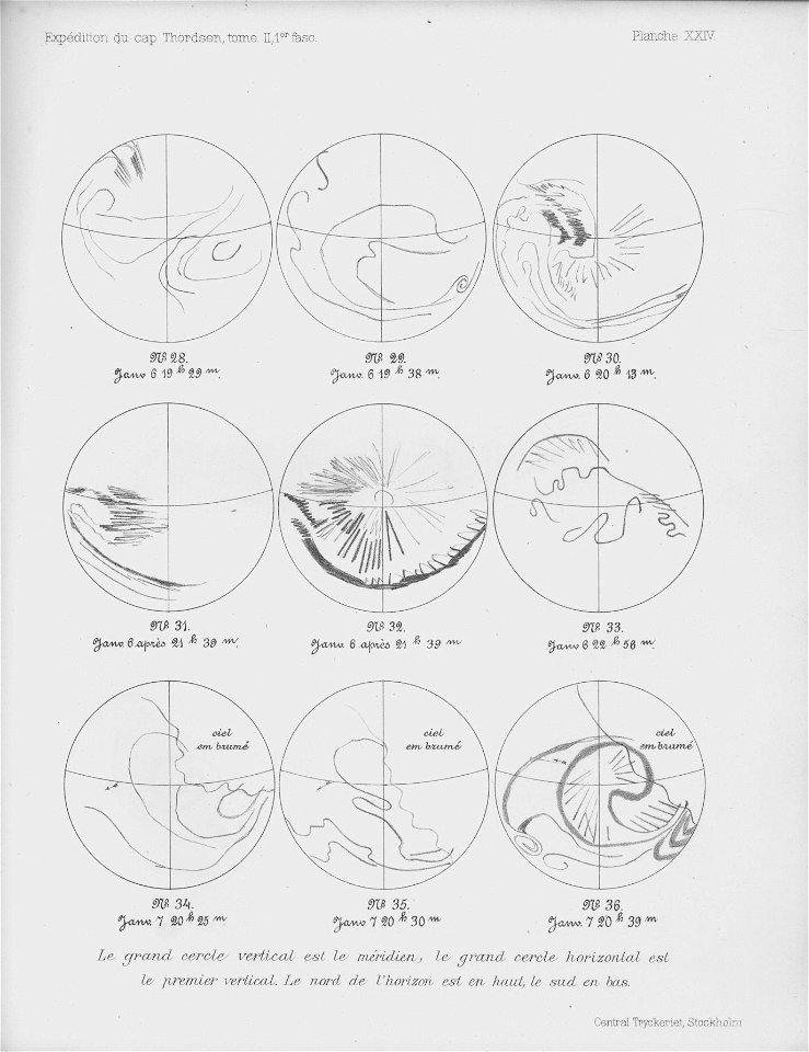 Ipy-thordsen2 plate-24