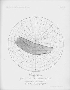 Ipy-thordsen2 plate-10