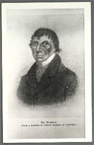Iolo Morgannwg (Edward Williams) (5236509)