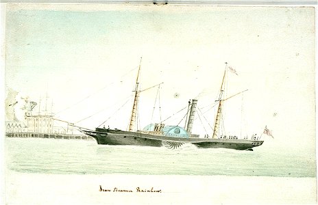 Iron Steamer Rainbow RMG PU6697