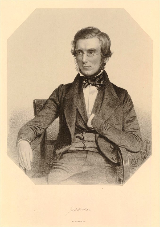 Ipswich Museum Portraits (BM 1852,0424.37)