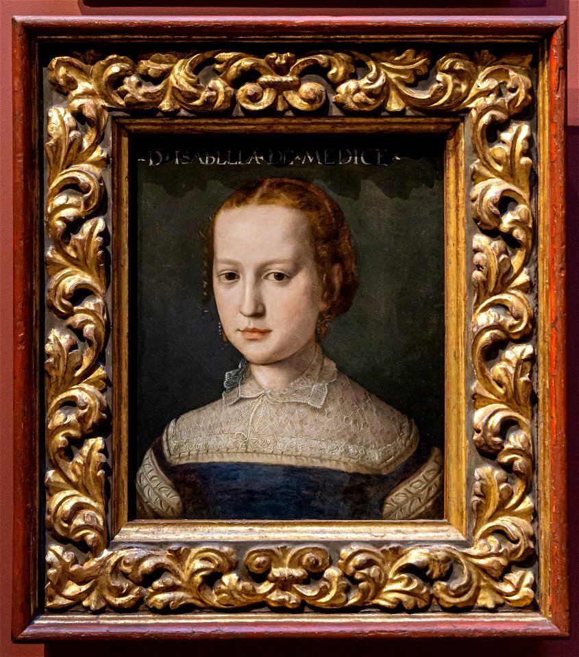 Isabella de Medici (Agnolo Bronzino) DSC6866