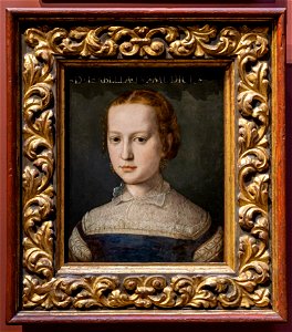 Isabella de Medici (Agnolo Bronzino) DSC6866