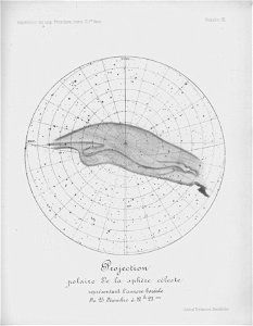Ipy-thordsen2 plate-11