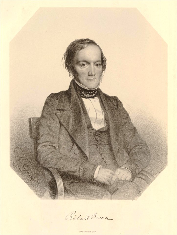 Ipswich Museum Portraits (BM 1852,0424.45)