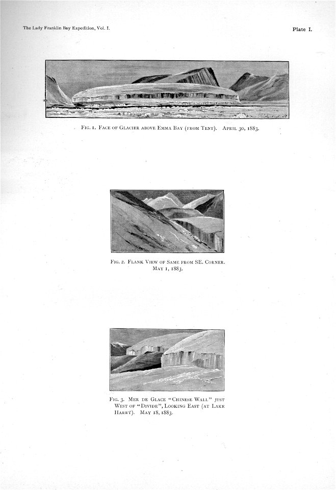 Ipy-conger1 plate-Ia