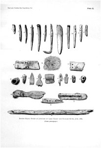Ipy-conger1 plate-IIb