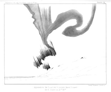 Ipy-thordsen2 plate-07