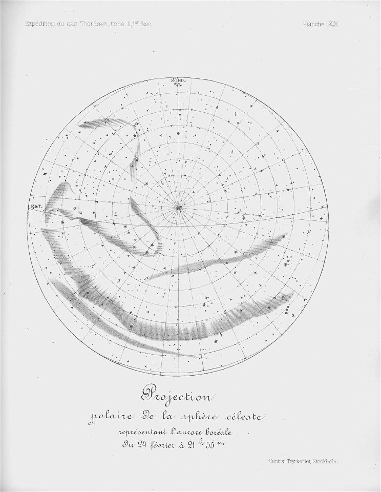 Ipy-thordsen2 plate-19