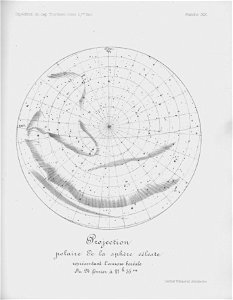 Ipy-thordsen2 plate-19