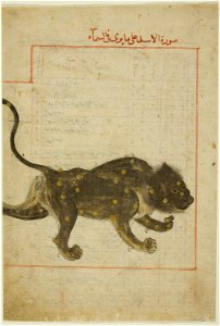 Islamic - The Constellation Leo, folio probably from the Kitab suwar al-kawakib al-thabita (Book of the Images of the Fixed Stars) - 1998.201 - Art Institute of Chicago