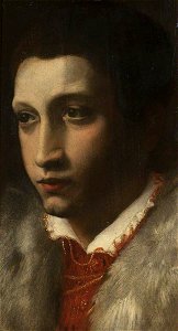 Italian (Parmesan) School - Orazio Farnese (1531–1553), Duke of Castro - 446821 - National Trust