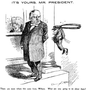 It's Yours, Mr. President (Homer Davenport)