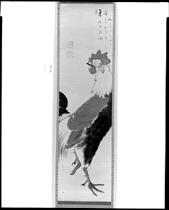 Itō Jakuchū 伊藤若冲 - Rooster - 1964.164 - Arthur M. Sackler Museum