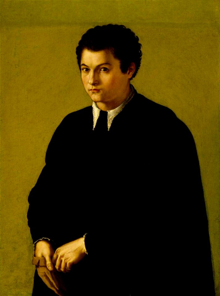 Italian (Florentine) School - Portrait of an Unknown Youth in Black, Holding a Glove - 1535119 - National Trust