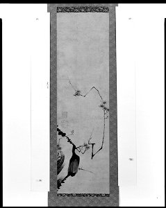 Itō Jakuchū 伊藤若冲 - Branch of Flowering Plum - 1965.44 - Arthur M. Sackler Museum