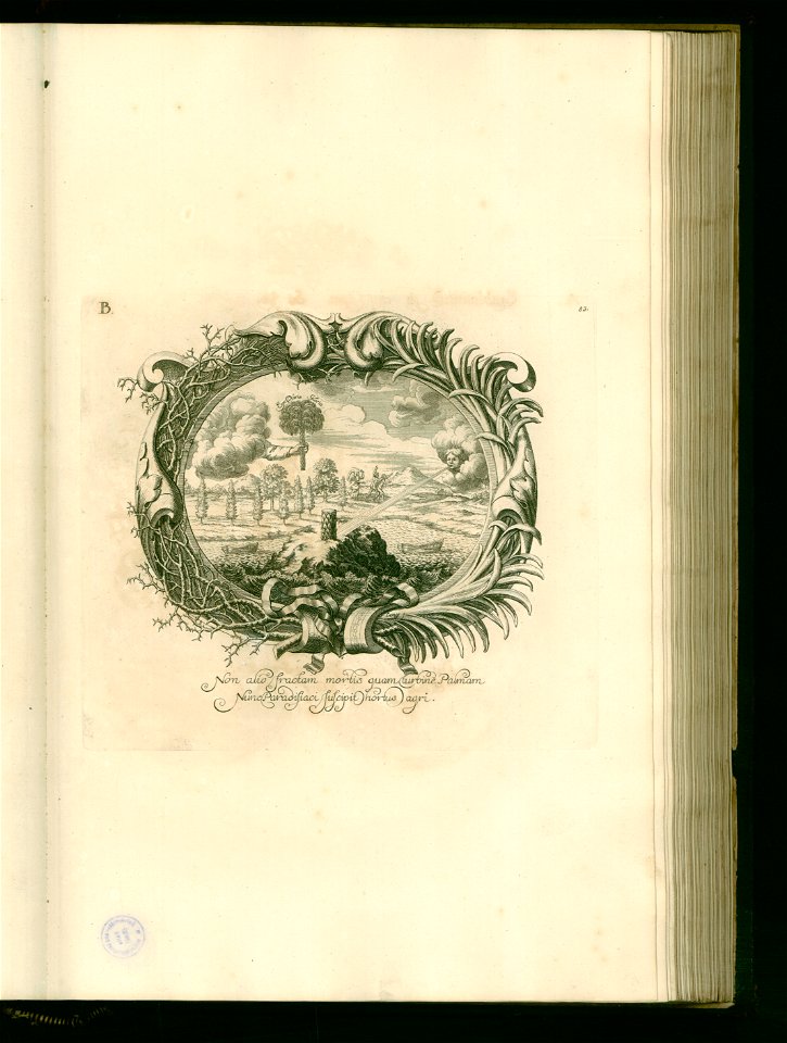Iusta Funebria Serenissimo Principi Joanni Friderico Brunsvicensium Et Luneburge ... Platte (83)