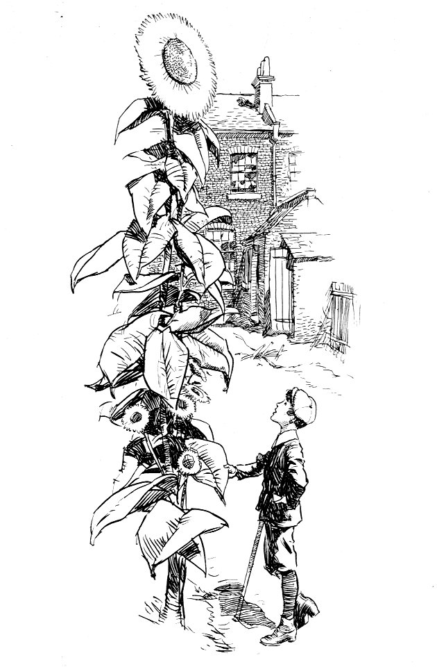 Hardings luck -nesbit 0031