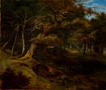 Hare-hunt in a Beech Forest (Christian Ezdorf) - Nationalmuseum - 18130