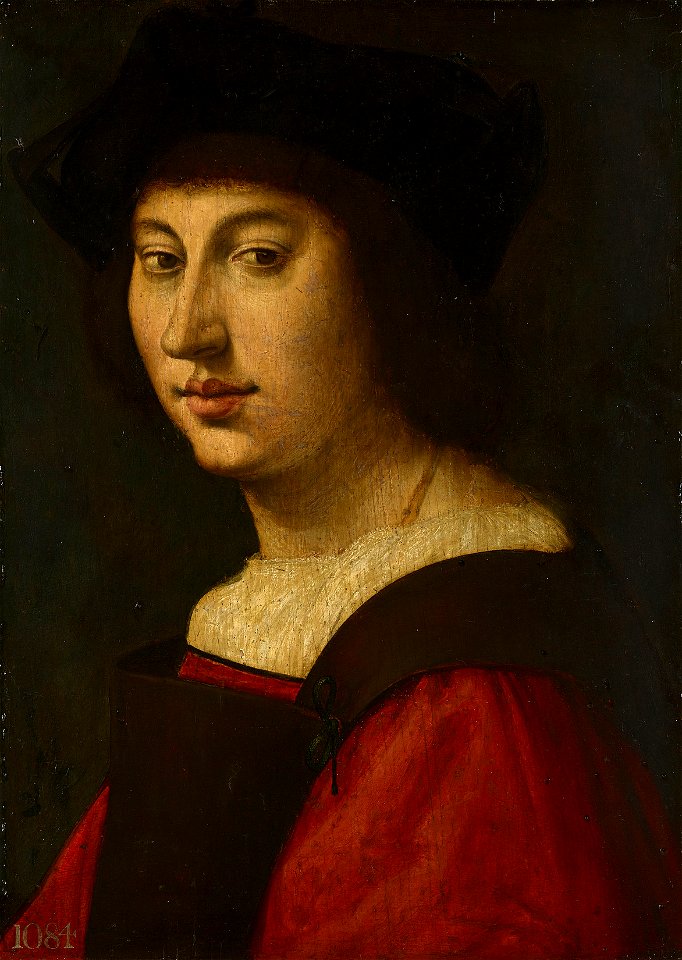 Italian School, Florentine (c. 1515) - Portrait of a Young Man - RCIN 405470 - Royal Collection