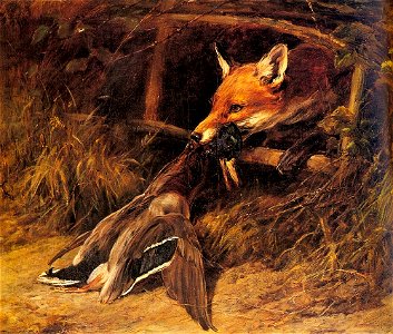Hardy Heywood - Returning To The Foxs Lair 1896