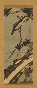 Itō Jakuchū 伊藤若冲 - Old Pine - TL42147.7 - Harvard Art Museums