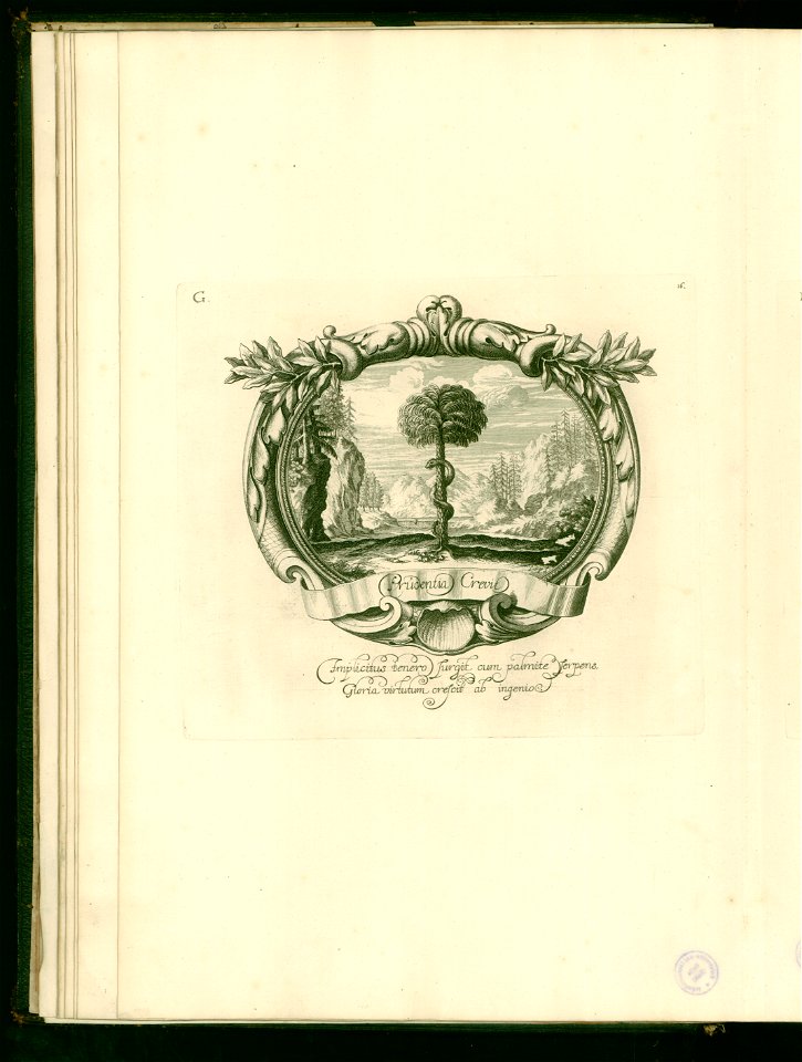 Iusta Funebria Serenissimo Principi Joanni Friderico Brunsvicensium Et Luneburge ... Platte (16)